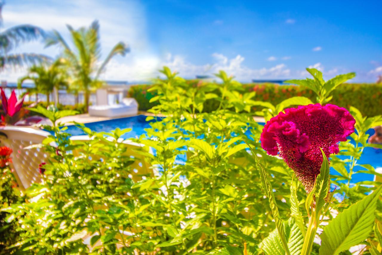 Hotel Aria Manzanillo Cartagena  Exterior foto